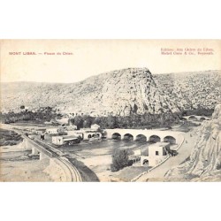 Rare collectable postcards of LEBANON. Vintage Postcards of LEBANON