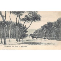 Rare collectable postcards of LEBANON. Vintage Postcards of LEBANON