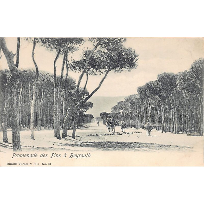 Rare collectable postcards of LEBANON. Vintage Postcards of LEBANON