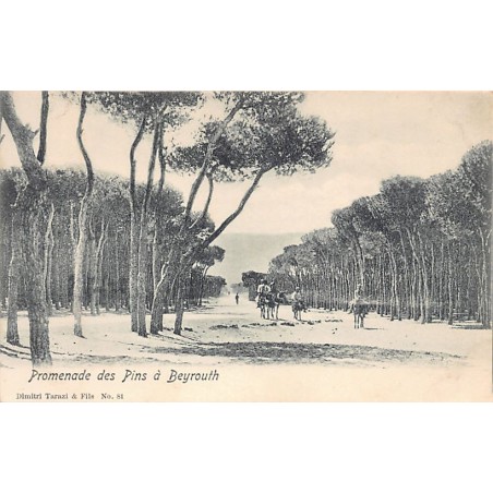 Rare collectable postcards of LEBANON. Vintage Postcards of LEBANON