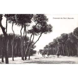 Rare collectable postcards of LEBANON. Vintage Postcards of LEBANON