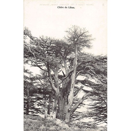 Rare collectable postcards of LEBANON. Vintage Postcards of LEBANON