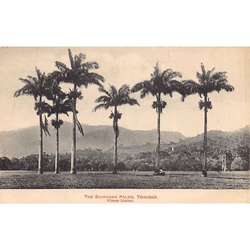 Trinidad - The Savannah Palms - Publ. Wilsons Limited
