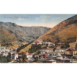 Rare collectable postcards of LEBANON. Vintage Postcards of LEBANON
