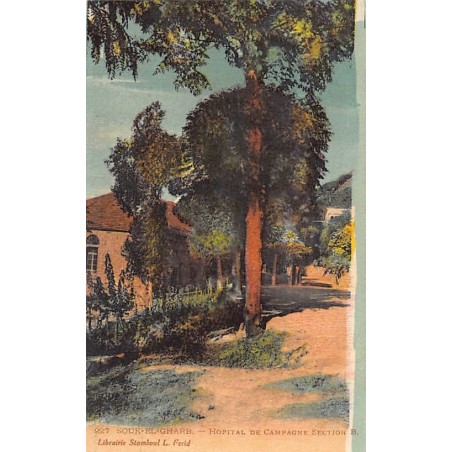 Rare collectable postcards of LEBANON. Vintage Postcards of LEBANON