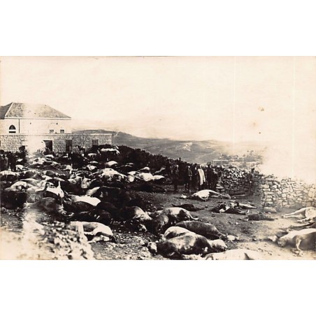 Rare collectable postcards of SYRIA. Vintage Postcards of SYRIA