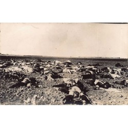 Rare collectable postcards of SYRIA. Vintage Postcards of SYRIA