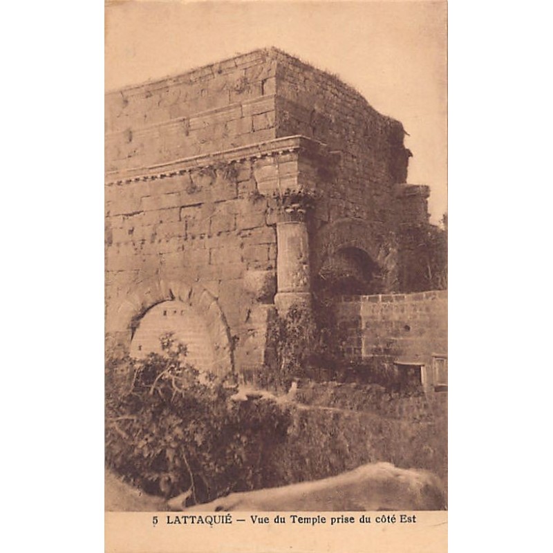 Rare collectable postcards of SYRIA. Vintage Postcards of SYRIA