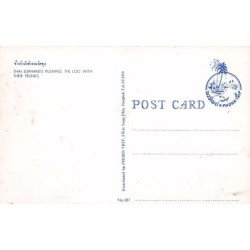 Rare collectable postcards of THAILAND. Vintage Postcards of THAILAND