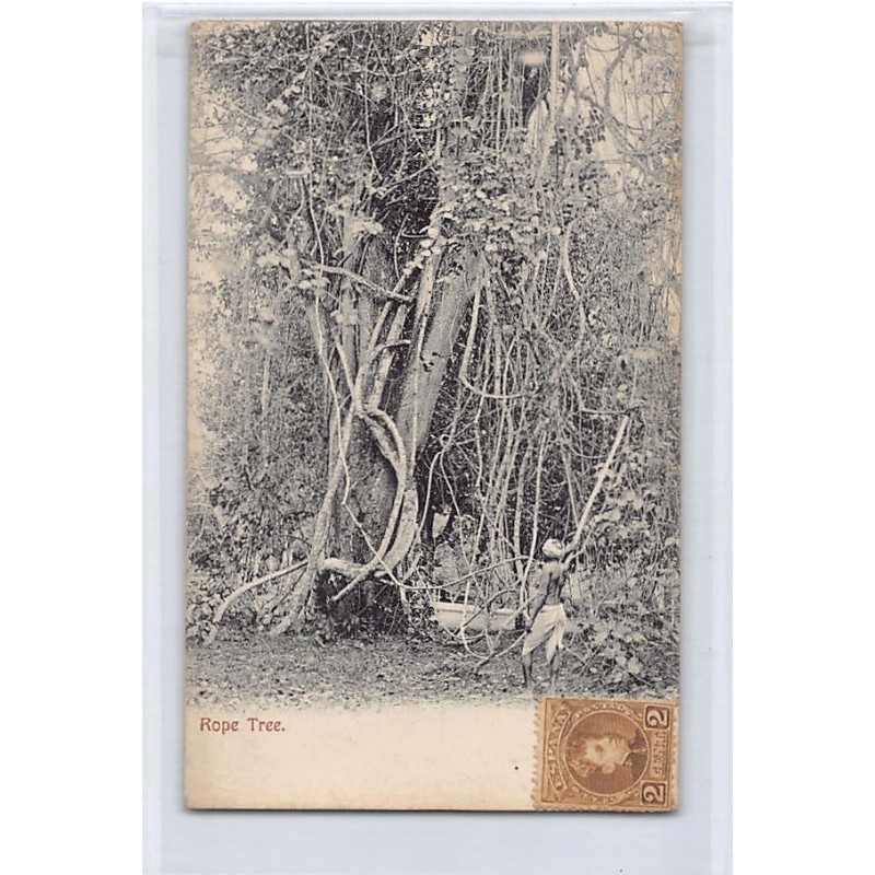 Rare collectable postcards of TRINIDAD & TOBAGO. Vintage Postcards of TRINIDAD & TOBAGO