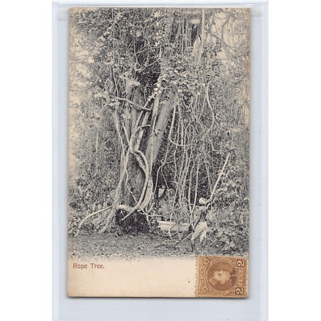 Rare collectable postcards of TRINIDAD & TOBAGO. Vintage Postcards of TRINIDAD & TOBAGO