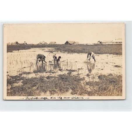 Rare collectable postcards of THAILAND. Vintage Postcards of THAILAND