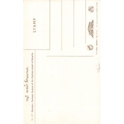 Rare collectable postcards of THAILAND. Vintage Postcards of THAILAND