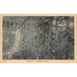 Rare collectable postcards of VIET-NAM. Vintage Postcards of VIET-NAM