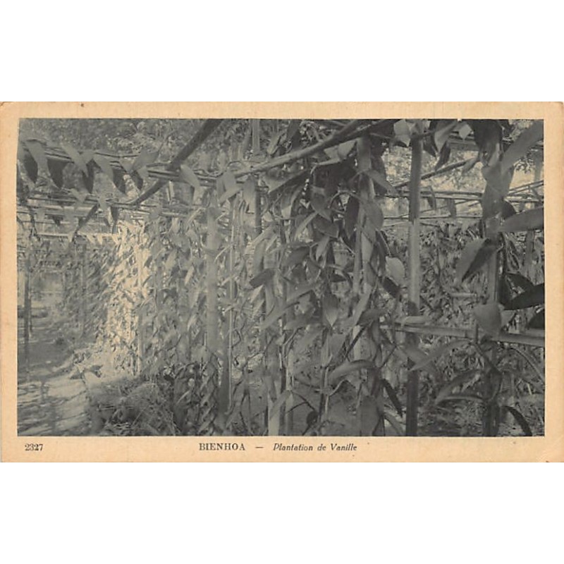 Rare collectable postcards of VIET-NAM. Vintage Postcards of VIET-NAM