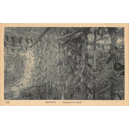 Rare collectable postcards of VIET-NAM. Vintage Postcards of VIET-NAM