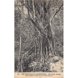 Rare collectable postcards of NEW CALEDONIA Nouvelle-Calédonie. Vintage Postcards of NEW CALEDONIA Nouvelle-Calédonie