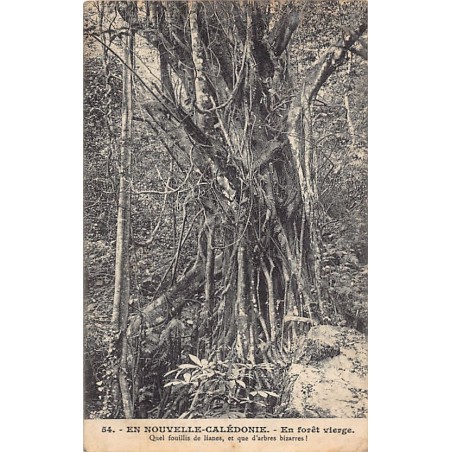 Rare collectable postcards of NEW CALEDONIA Nouvelle-Calédonie. Vintage Postcards of NEW CALEDONIA Nouvelle-Calédonie