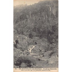 Rare collectable postcards of NEW CALEDONIA Nouvelle-Calédonie. Vintage Postcards of NEW CALEDONIA Nouvelle-Calédonie