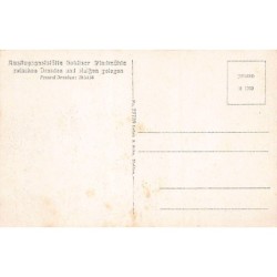 Rare collectable postcards of GERMANY Deutschland. Vintage Postcards of GERMANY Deutschland