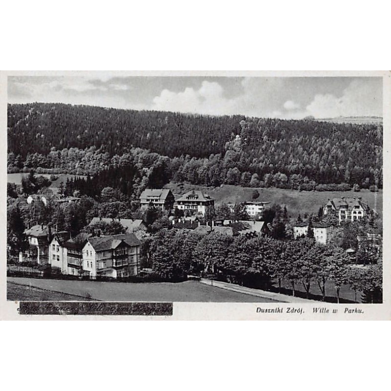 Rare collectable postcards of POLAND. Vintage Postcards of POLAND