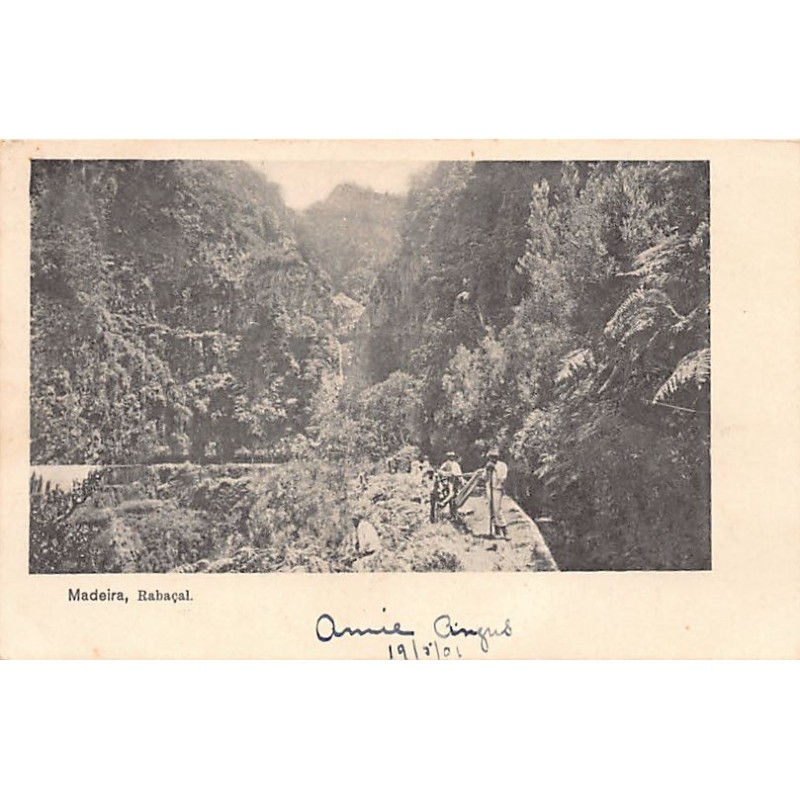 Rare collectable postcards of PORTUGAL. Vintage Postcards of PORTUGAL