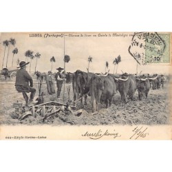 Rare collectable postcards of PORTUGAL. Vintage Postcards of PORTUGAL