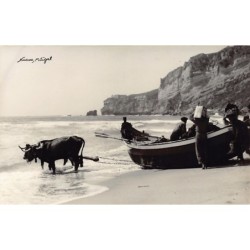 Rare collectable postcards of PORTUGAL. Vintage Postcards of PORTUGAL