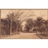Rare collectable postcards of PORTUGAL. Vintage Postcards of PORTUGAL