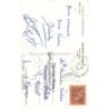 Rare collectable postcards of PORTUGAL. Vintage Postcards of PORTUGAL