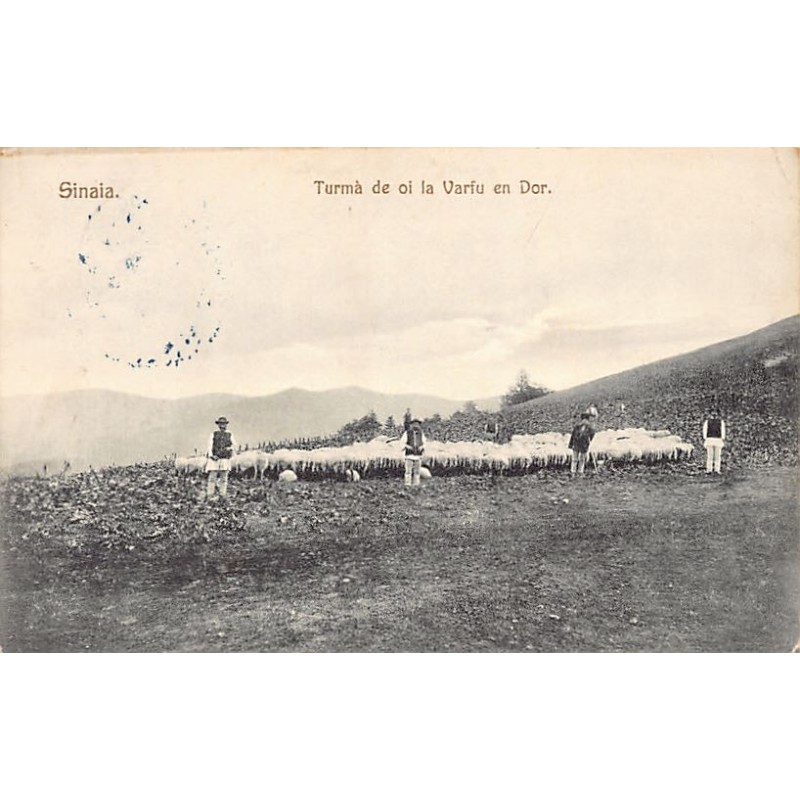 Rare collectable postcards of ROMANIA. Vintage Postcards of ROMANIA