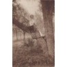 Rare collectable postcards of ROMANIA. Vintage Postcards of ROMANIA