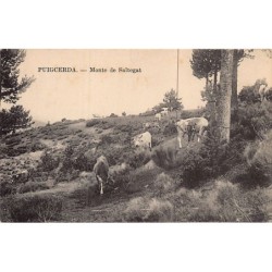 Rare collectable postcards of SPAIN España. Vintage Postcards of SPAIN España