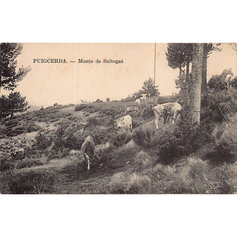 Rare collectable postcards of SPAIN España. Vintage Postcards of SPAIN España