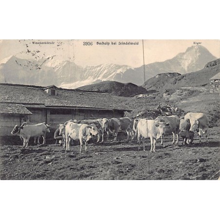 Rare collectable postcards of SWITZERLAND Suisse Schweiz Svizzera. Vintage Postcards of SWITZERLAND Suisse Schweiz Svizzera