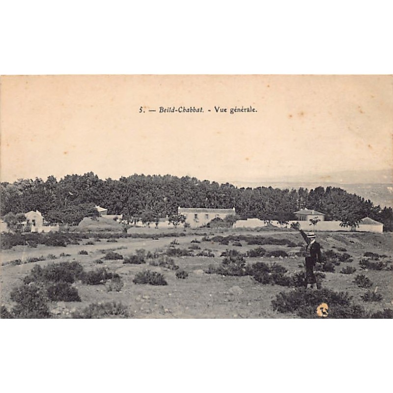 Rare collectable postcards of ALGERIA Algérie. Vintage Postcards of ALGERIA Algérie