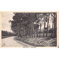 Rare collectable postcards of ALGERIA Algérie. Vintage Postcards of ALGERIA Algérie
