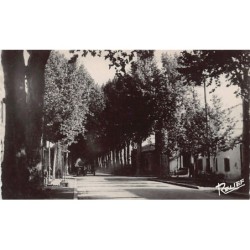 Rare collectable postcards of ALGERIA Algérie. Vintage Postcards of ALGERIA Algérie