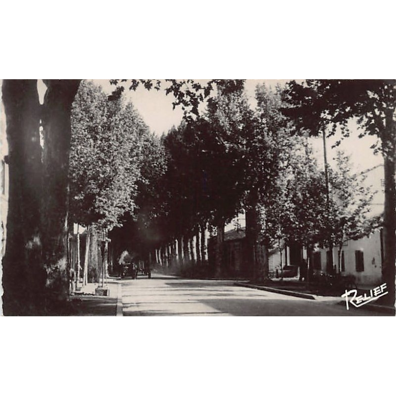 Rare collectable postcards of ALGERIA Algérie. Vintage Postcards of ALGERIA Algérie