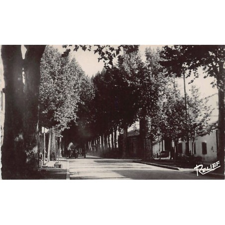 Rare collectable postcards of ALGERIA Algérie. Vintage Postcards of ALGERIA Algérie