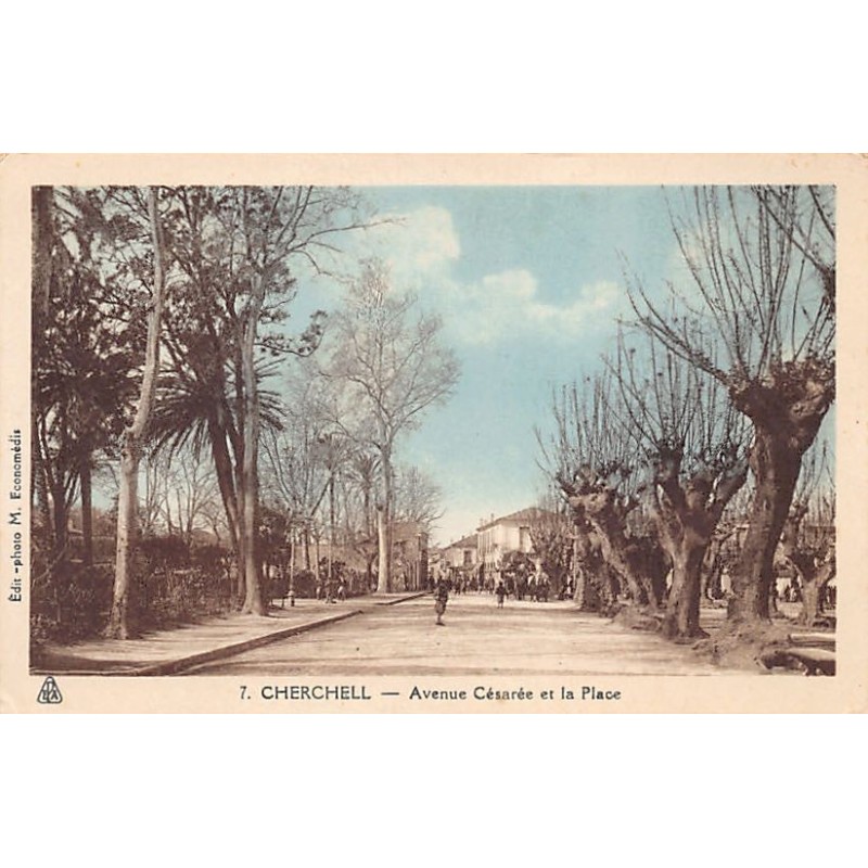 Rare collectable postcards of ALGERIA Algérie. Vintage Postcards of ALGERIA Algérie