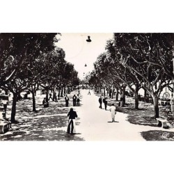 Rare collectable postcards of ALGERIA Algérie. Vintage Postcards of ALGERIA Algérie