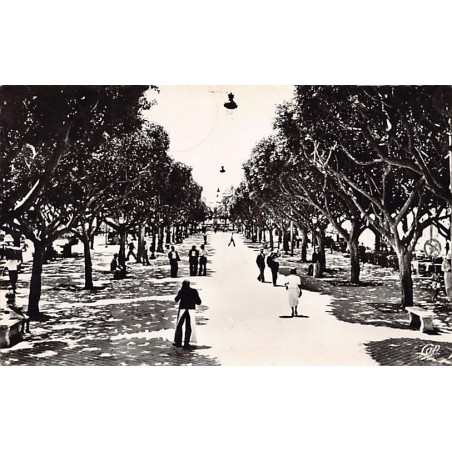 Rare collectable postcards of ALGERIA Algérie. Vintage Postcards of ALGERIA Algérie