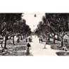 Rare collectable postcards of ALGERIA Algérie. Vintage Postcards of ALGERIA Algérie