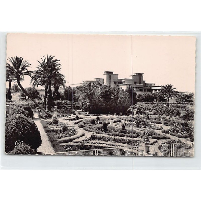 Rare collectable postcards of ALGERIA Algérie. Vintage Postcards of ALGERIA Algérie