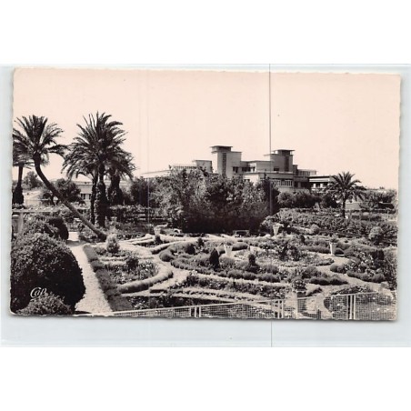 Rare collectable postcards of ALGERIA Algérie. Vintage Postcards of ALGERIA Algérie