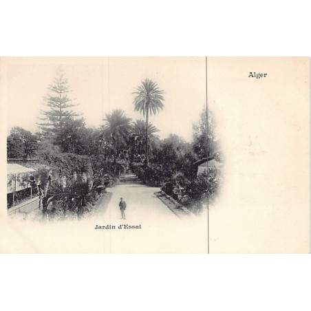 Rare collectable postcards of ALGERIA Algérie. Vintage Postcards of ALGERIA Algérie