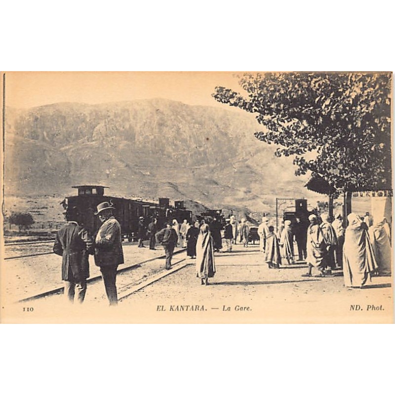 Rare collectable postcards of ALGERIA Algérie. Vintage Postcards of ALGERIA Algérie