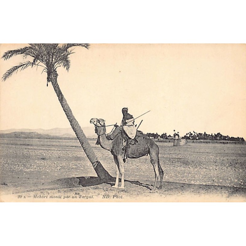 Rare collectable postcards of ALGERIA Algérie. Vintage Postcards of ALGERIA Algérie
