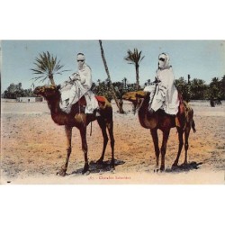 Rare collectable postcards of ALGERIA Algérie. Vintage Postcards of ALGERIA Algérie